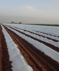 Low tunnel plastic film