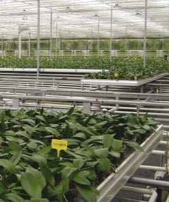 Grow-tables and Table-transport systems