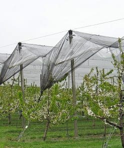 Anti Hail nets