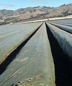 E1113 Photo-Selective Mulch: Brown / Yellow films - Brown/yellow mulch