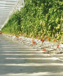 SC400 Irrigation and Climate Control