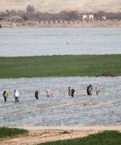 Thermic Stabilized film + Anti-fog for low tunnels