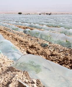 Thermic Stabilized film + Anti-fog for low tunnels