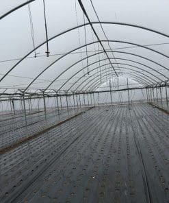 Black mulch film - Black mulch