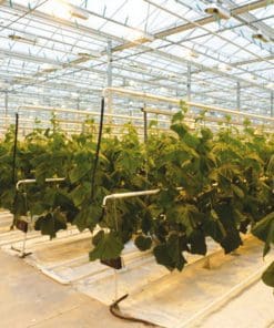 The Ecomax® Gas Generator Sets