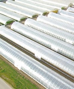 Foil & Glass Greenhouse