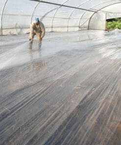 Weed growth control - Fumigation