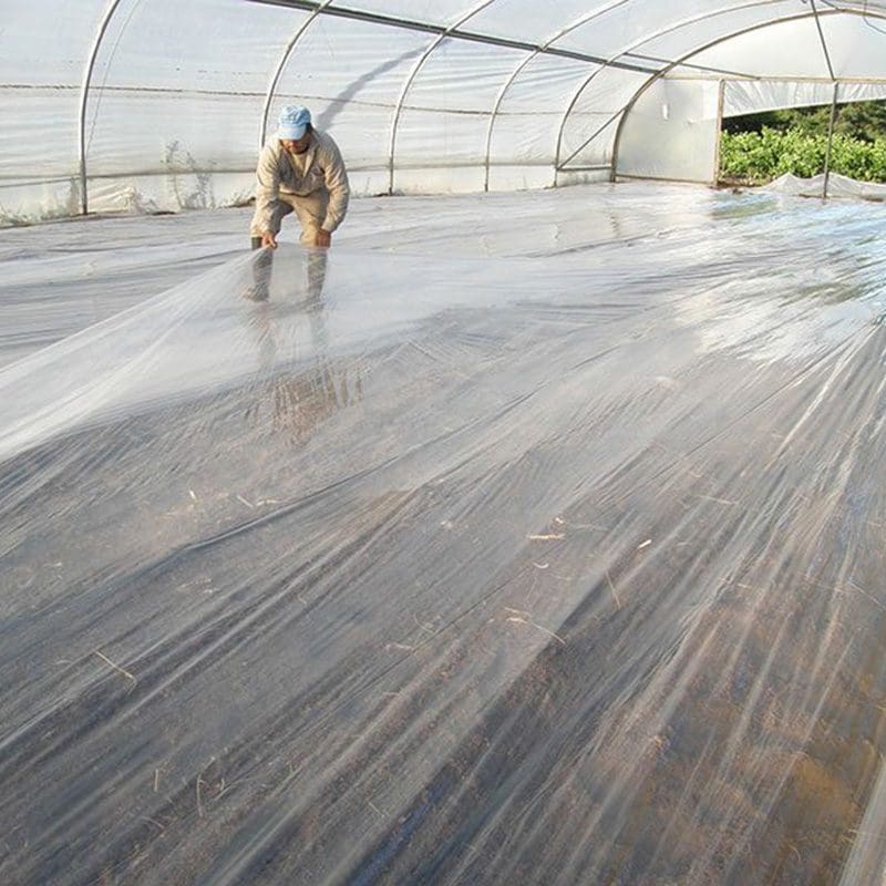 Weed growth control fumigation
