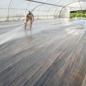 Fumigation sheets