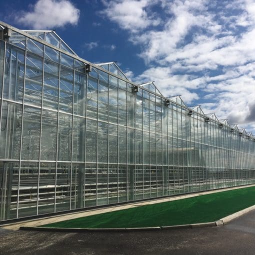 Foil & Glass Greenhouse