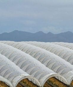 Greenhouse & Tunnel films