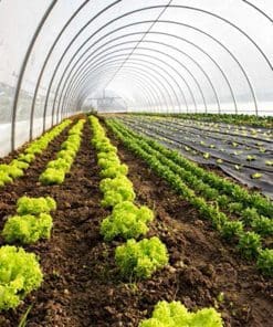 greenhouse tunnel cover plastic film