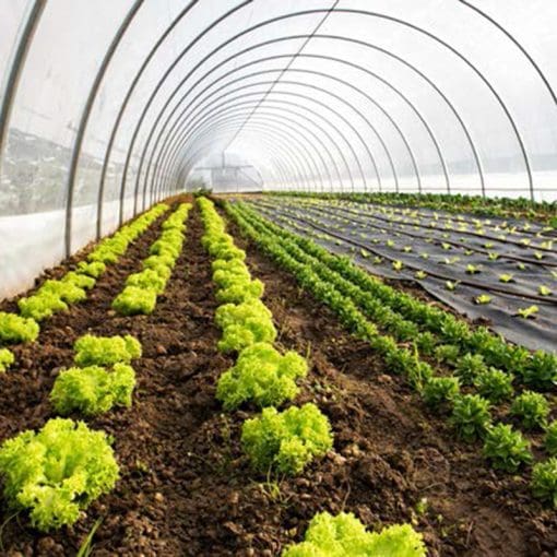 greenhouse tunnel cover plastic film