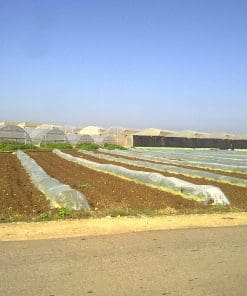 Thermic Stabilized film + Anti-fog for low tunnels