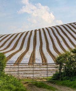 Agricultural plastic mulch