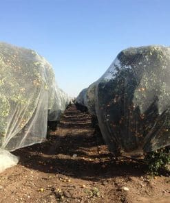 Protective Agricultural Nets
