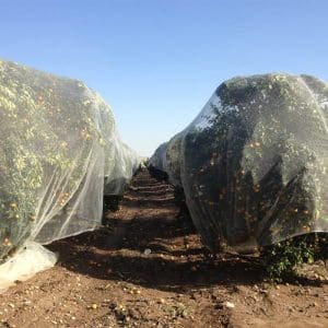 Agricultural and Horticultural Nets