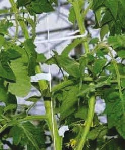 Bato Sideshoothook 12cm