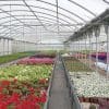 sunview thermal-greenhouse